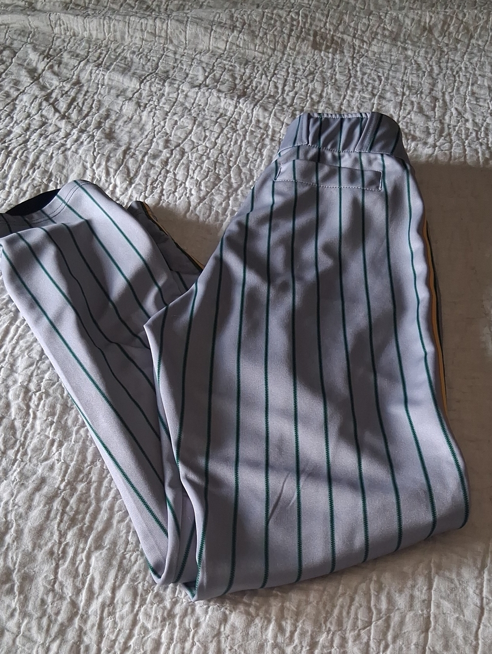 Striped Athletic Pants in Gray with Green And Yellow Pinstripes